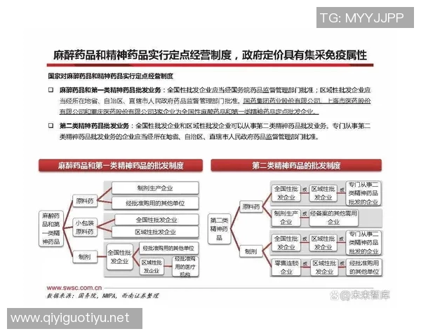 今年运动数据重磅专题TES如何实现全面转型与创新突破的深度解析